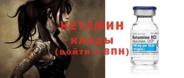 apvp Дмитриев