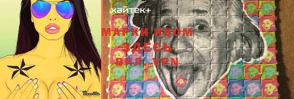 apvp Дмитриев