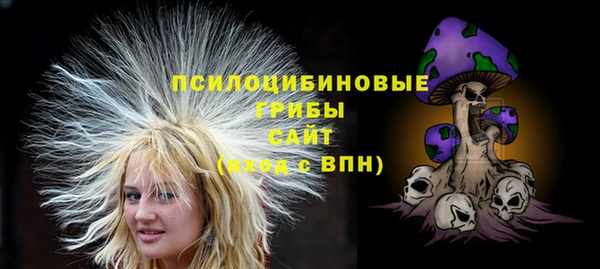 дурь Дмитров